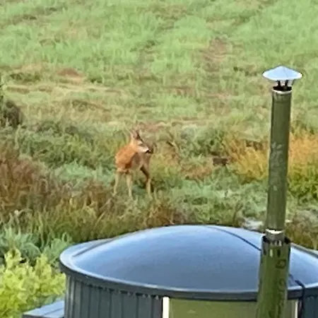 Hill Karpnki, Z Sauna, Balia I Jacuzzi Na Wylacznosc Karpniki