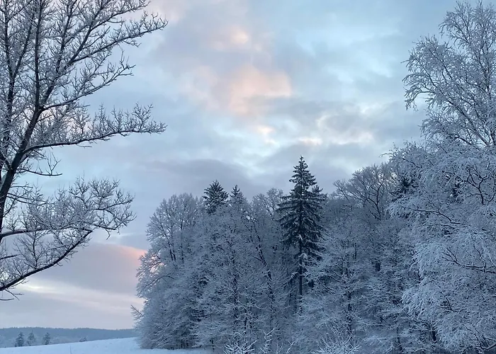 Hill Karpnki, Z Sauna, Balia I Jacuzzi Na Wylacznosc Karpniki