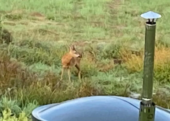 Hill Karpnki, Z Sauna, Balia I Jacuzzi Na Wylacznosc Karpniki